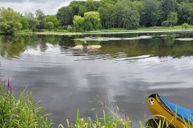 Neue Schwaneninsel in Bad Schwartau