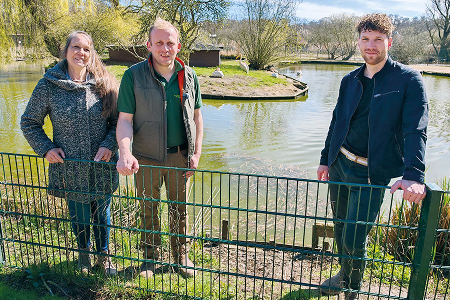 Vogelpark: Wie geht es weiter?