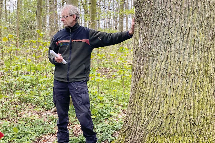 Wanderung durch Naturwald Beutz